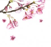Samolepka - Větev s květy třesně
