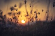 Samolepicí dekorativní fototapeta - Západ slunce