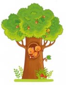 Samolepka - Veverka na stromě